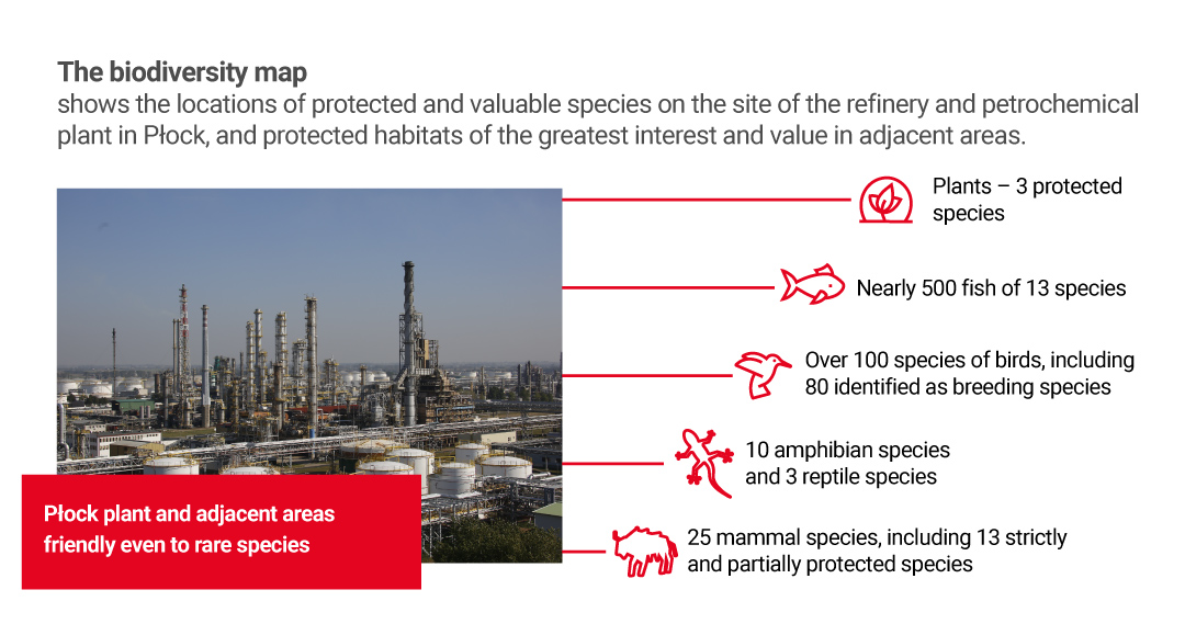 biodiversity-map-Plock